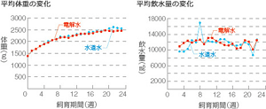 細菌グラフ