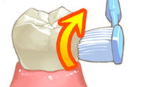 歯ブラシステップ2